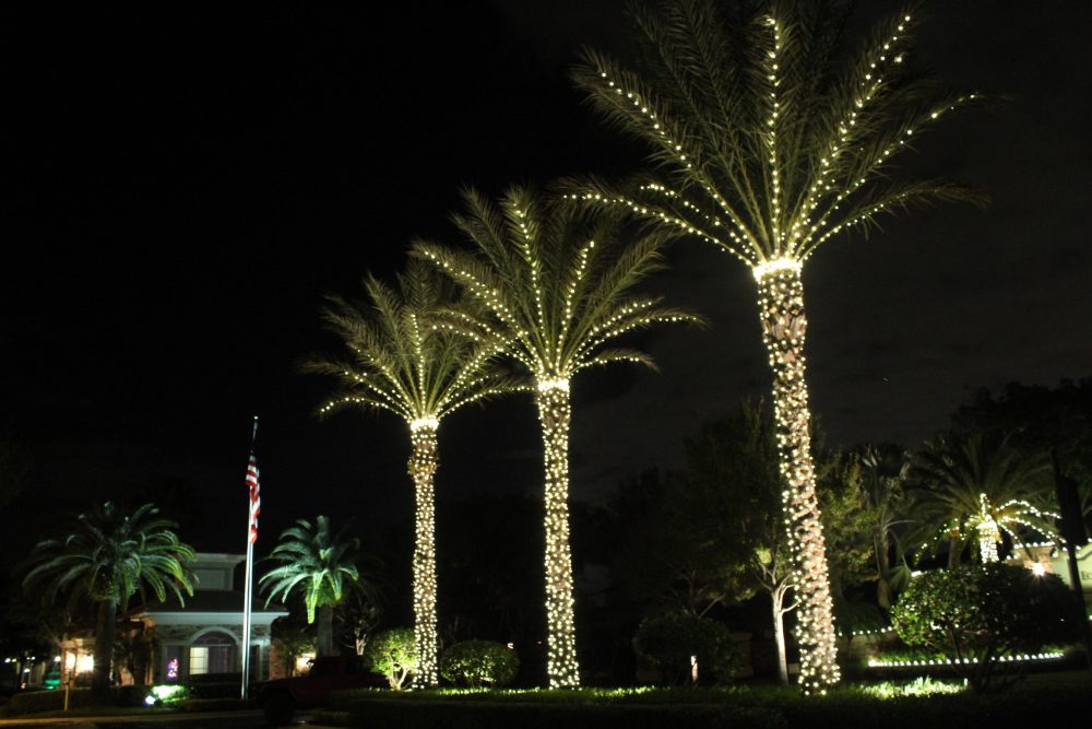 Commercial Holiday Light Installation Zimmerman Tree Services
