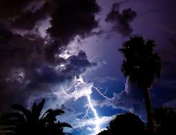 lightning strike on tree