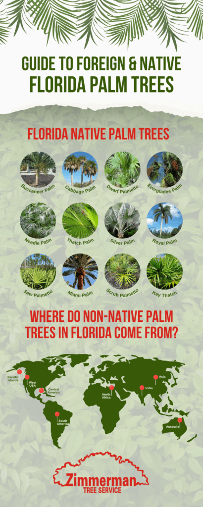 Native trees deals of florida