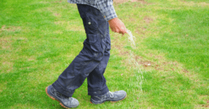 a man walking through his lawn while fertilizing it