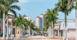 Palm trees lining a south Florida street