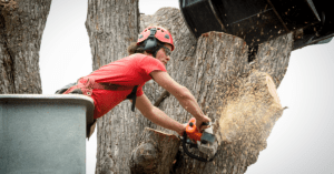 woman chopping down tree trunks