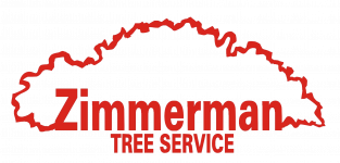 NEW ZIMMERMAN LOGO