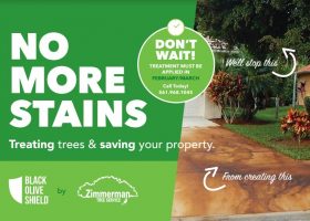 No more stains. Treating trees & saving your property.